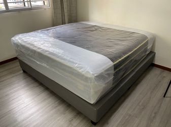 New Mattress Need to Sell. Take Home Today!