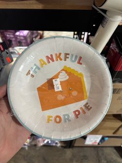 Pack of 20 pie plates