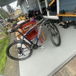 Specialized  Mountain Bike