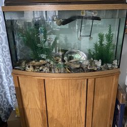Fish Tank