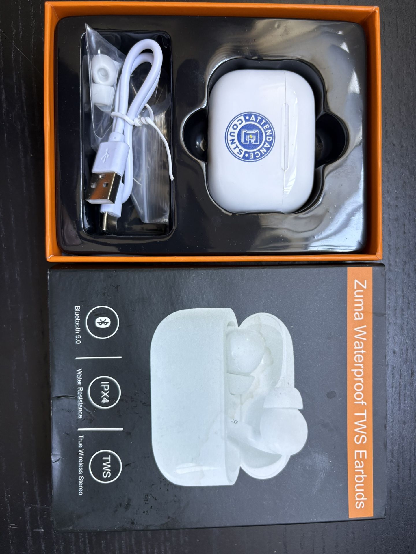 Zuma Waterproof Earbuds