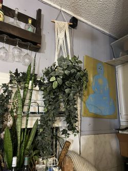 Plant w/ Artificial Vines