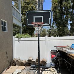 Free standing Basketball hoop