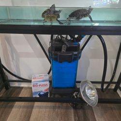 Un Tanque Con Dos Tortugas