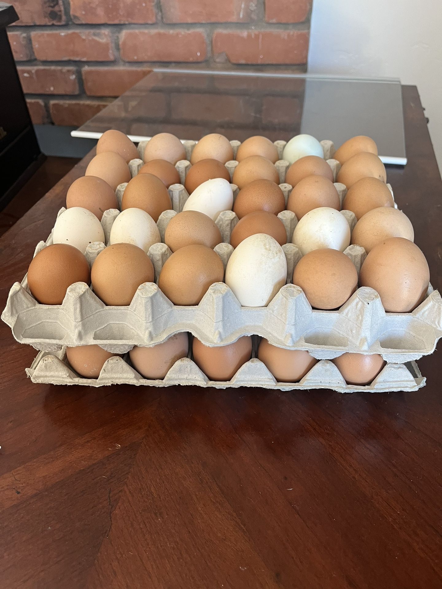 Organic Eggs