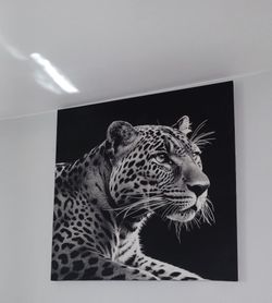 40" x 40" Black and White Leopard Canvas Wall Art