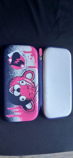 Nintendo case