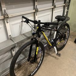 29” Specialized Rockhopper Size L