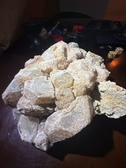 Fossil