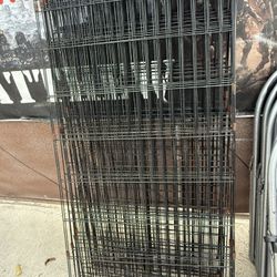 dog fence