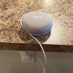 Google Home Mini