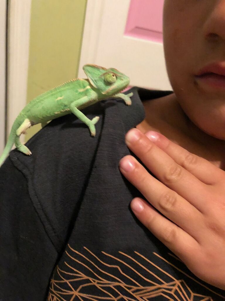 Cool chick