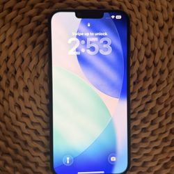 IPHONE 13 PRO MAX APPLE