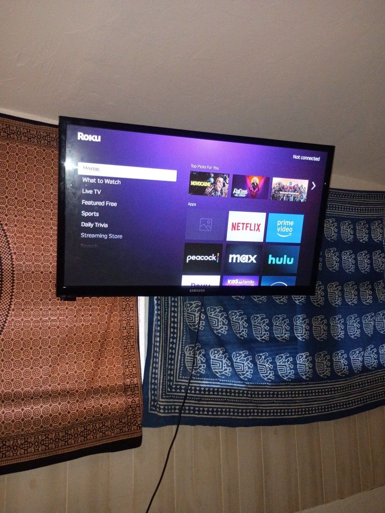 55 Inch Samsung With Fire stick