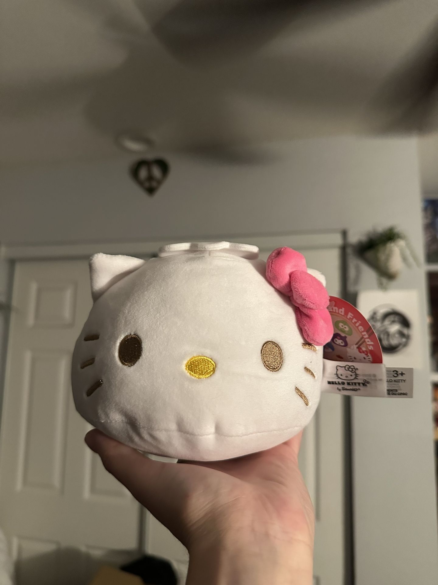 Hello Kitty Dumpling