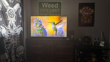 TCL 55” Smart TV (Google Tv Built In) 