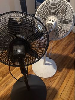 Fan lasko/ abanicos