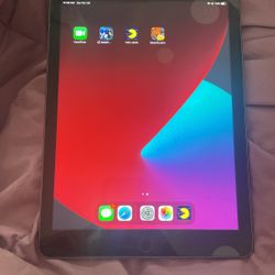 iPad (5th Generation)