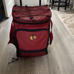 Blackhawk  Picnic cooler Excellent Condition $30 Pick Up In Glendale Heights 