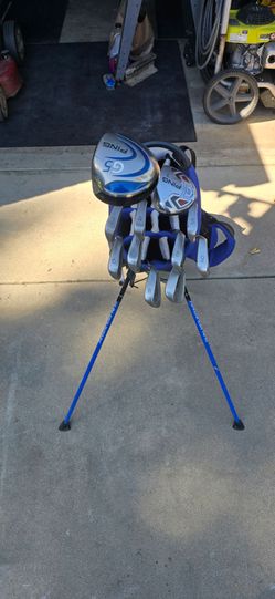 Ping - Golden Bear