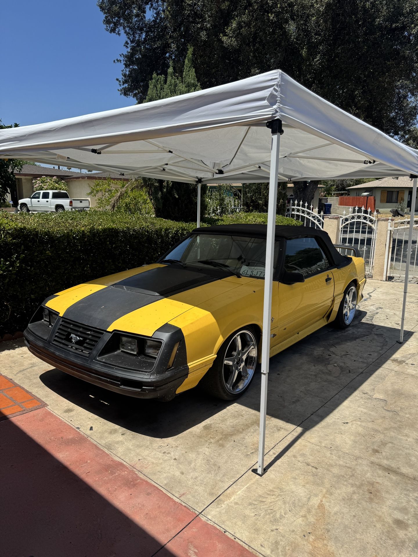 1984 Ford Mustang