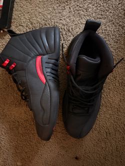 Air Jordan 12 retro