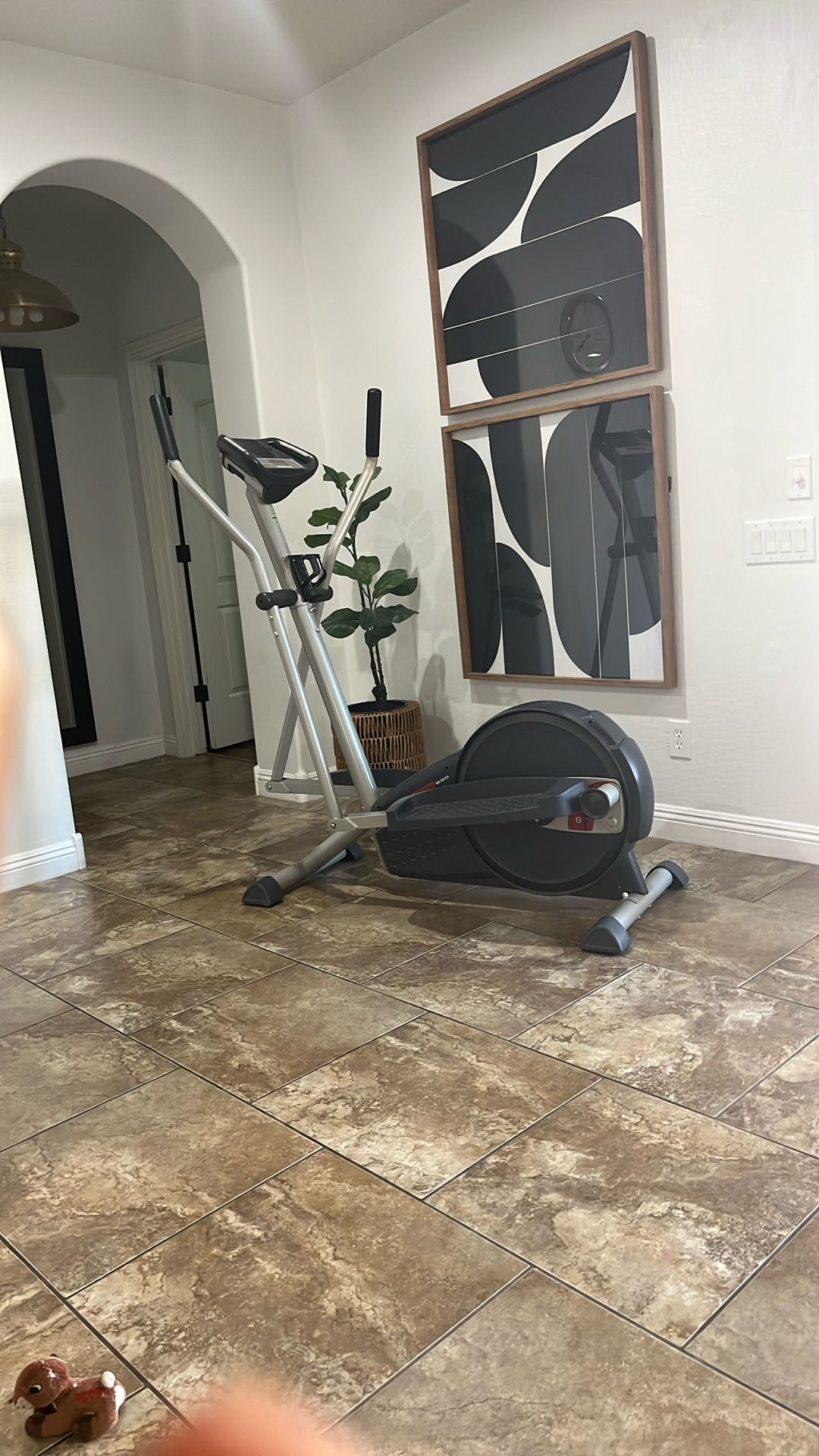 Pro-form Elliptical