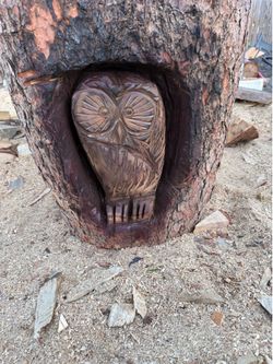 Owl carving, owl in a hollow