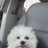 @solcleanout 
