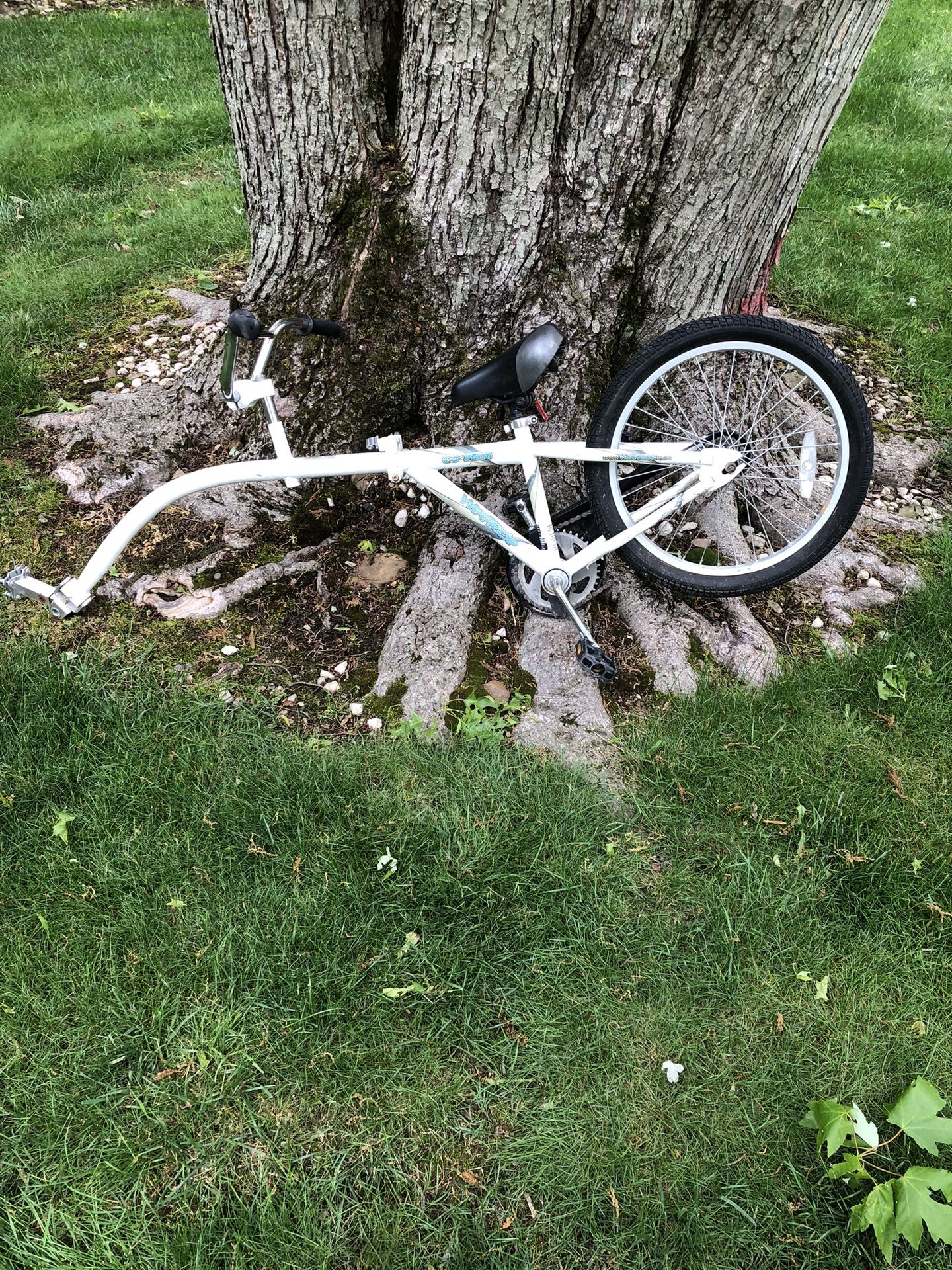 20” Tag Along Bike 