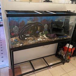 Fish Tank 55gal