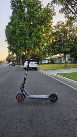 electric scooter