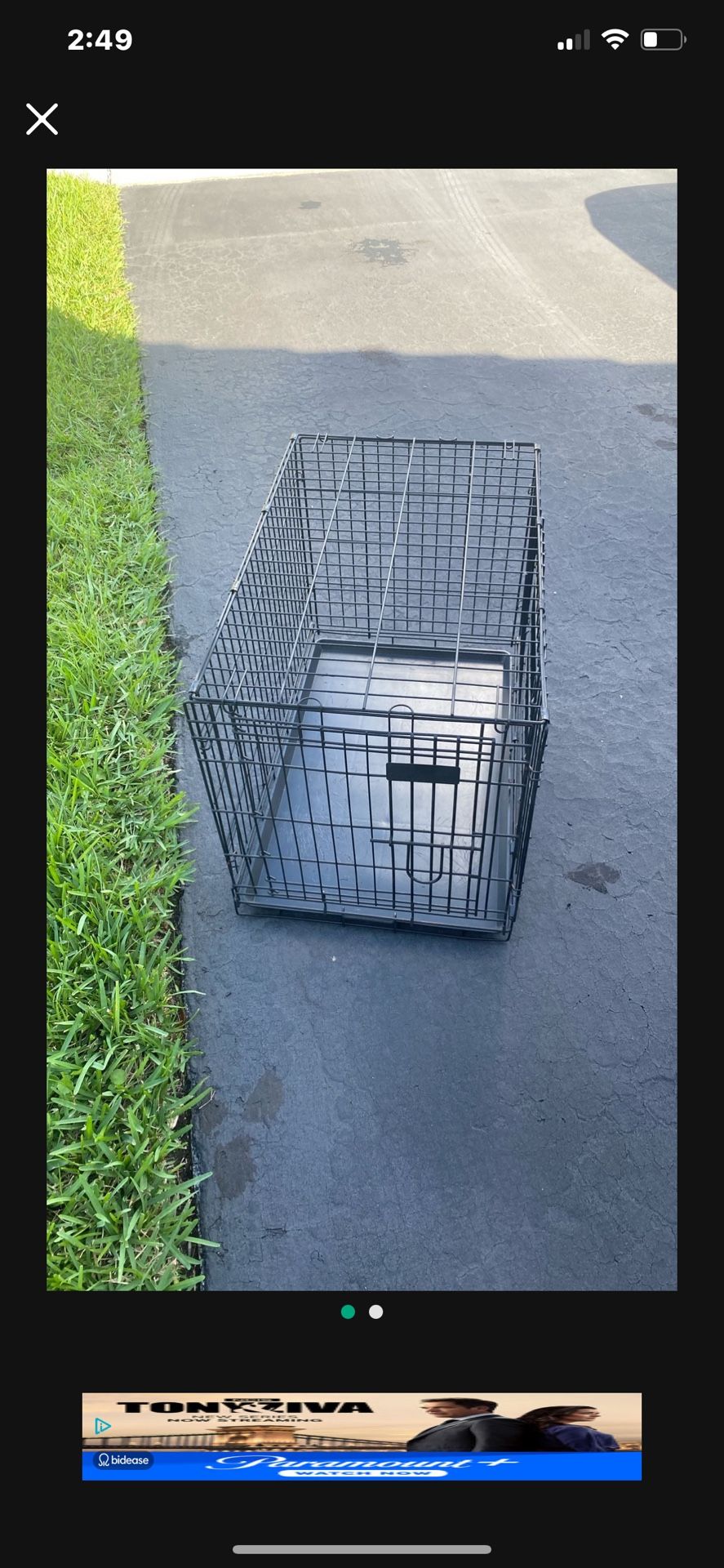 Dog Cage, Medium