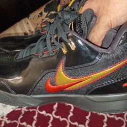 Nike LeBron James Mens Size 12