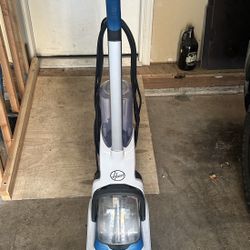 Free Hoover Shampooed