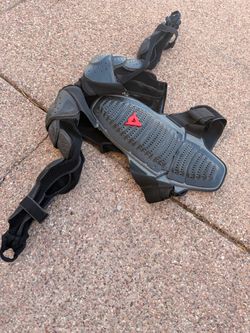 Chest protector - Dianese