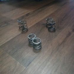 Predator 212 Valve Springs