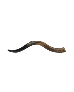 shofar