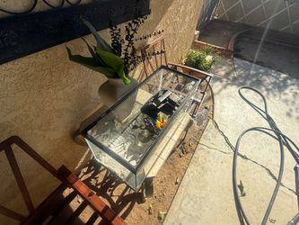 20 gallon fish tank
