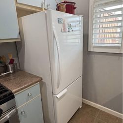 Free Fridge- Freezer Doesn’t Freeze