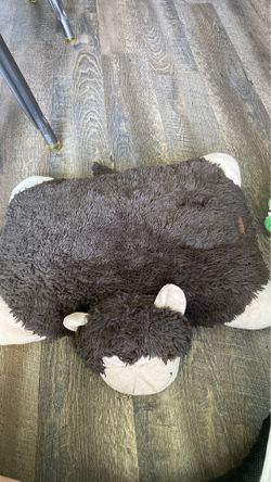 Pillow pet