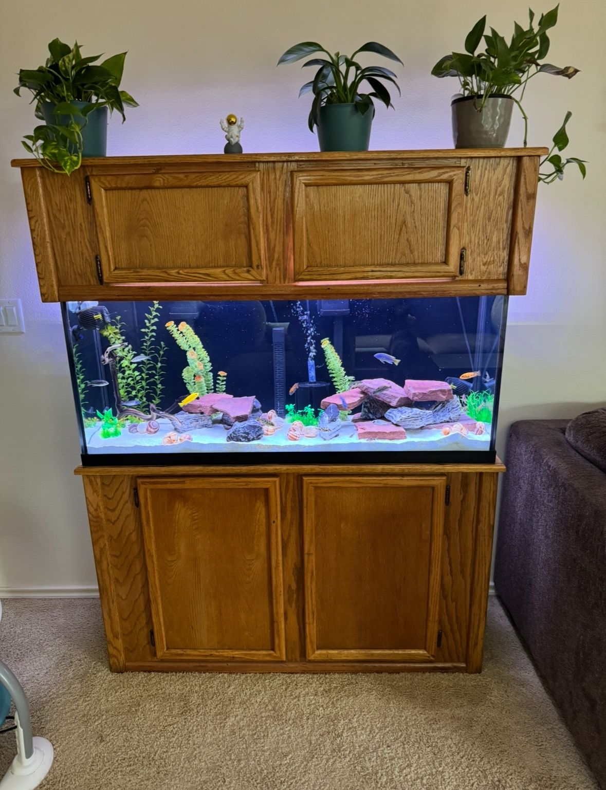 55 Gallon Fish Tank, Stand, Canopy, Light