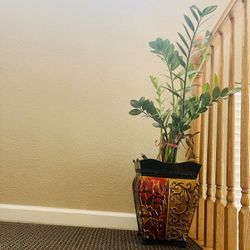 Plant 