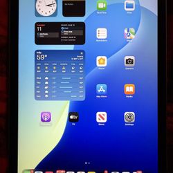 Apple iPad Air 4th Gen 64GB Gray
