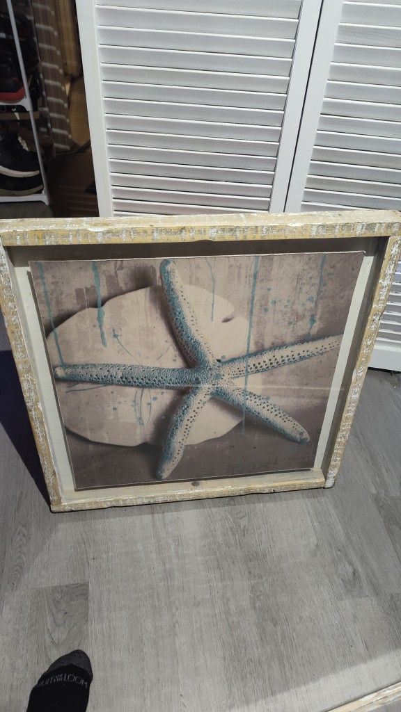 Stupel Starfish Pantings