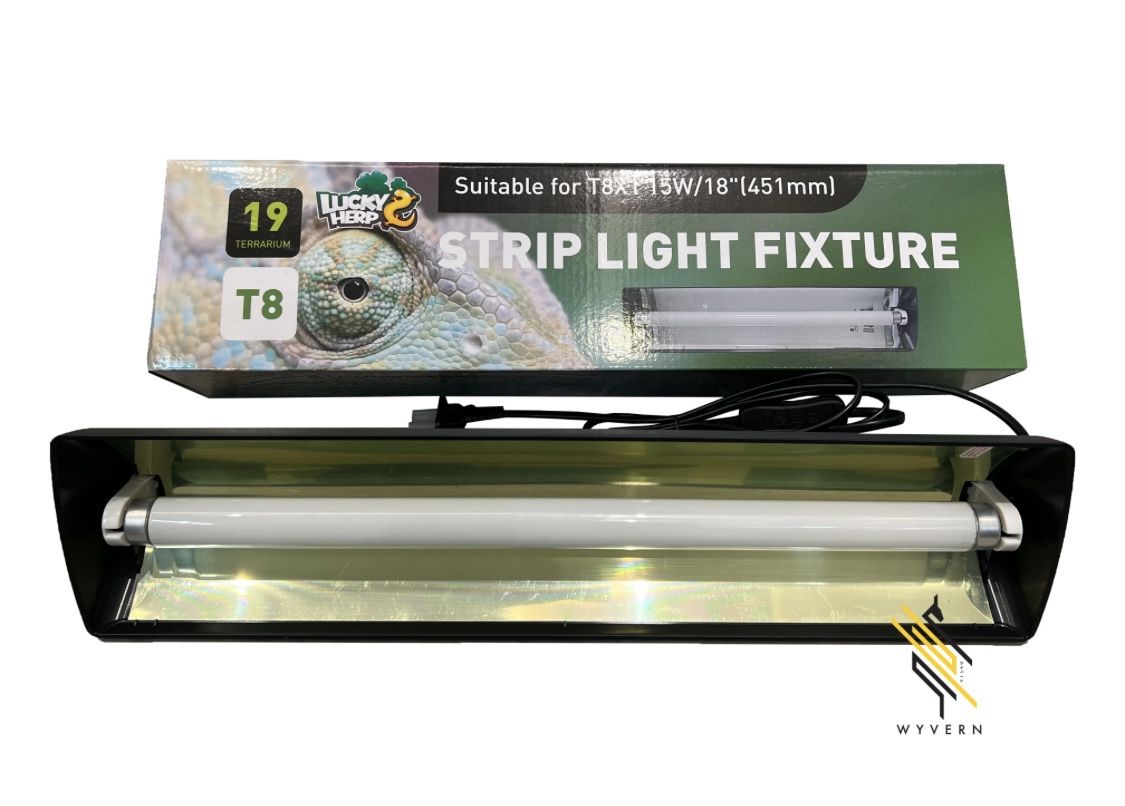 Reptile Light Fixture