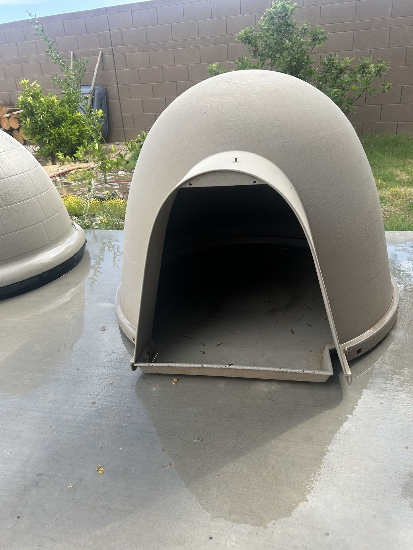 Dog House
