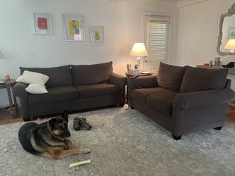 Bassett Couches