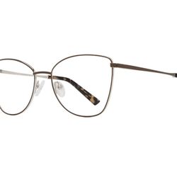 Brown And Gold Eyeglasses Frame 
