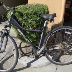 $79.00 Schwinn Sidewinder Mountain Bike - 26 Speed (Purple & Black) $79.00